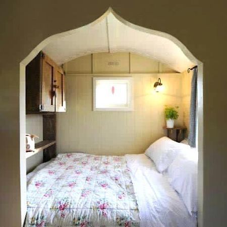 Beech Shepherds Hut York Extérieur photo