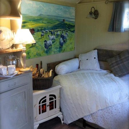 Beech Shepherds Hut York Extérieur photo